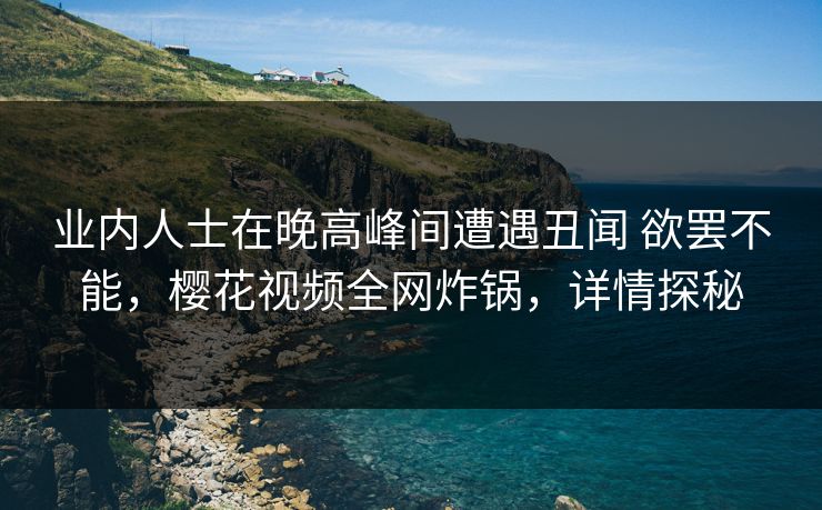 业内人士在晚高峰间遭遇丑闻 欲罢不能，樱花视频全网炸锅，详情探秘