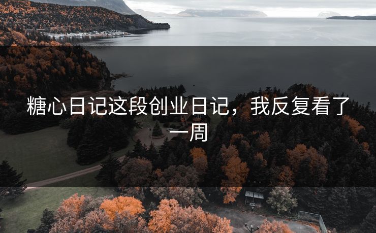 糖心日记这段创业日记，我反复看了一周
