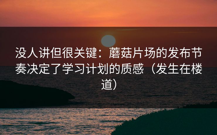 没人讲但很关键：蘑菇片场的发布节奏决定了学习计划的质感（发生在楼道）